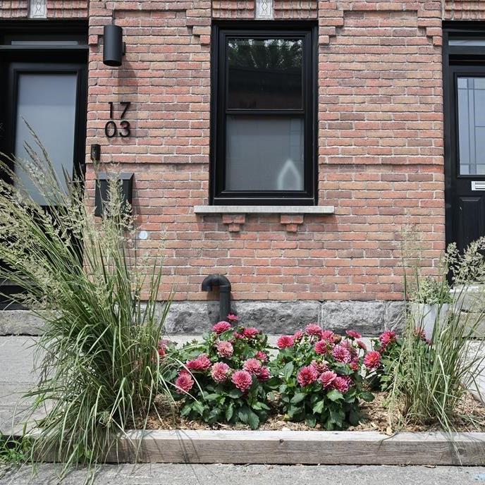 Montreal program letting residents plant sidewalk gardens provides numerous benefits